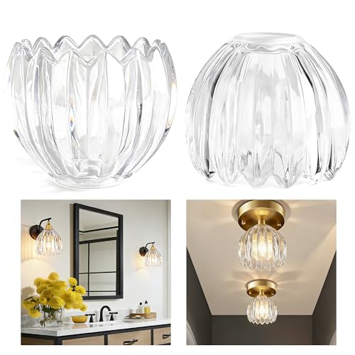 Clear Tulip Glass Lamp Shades Set of 2 (2 Count)