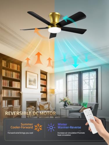 42 Inch Black Gold Low Profile Ceiling Fan with Light and Remote (Gold Black / 42 Inch)