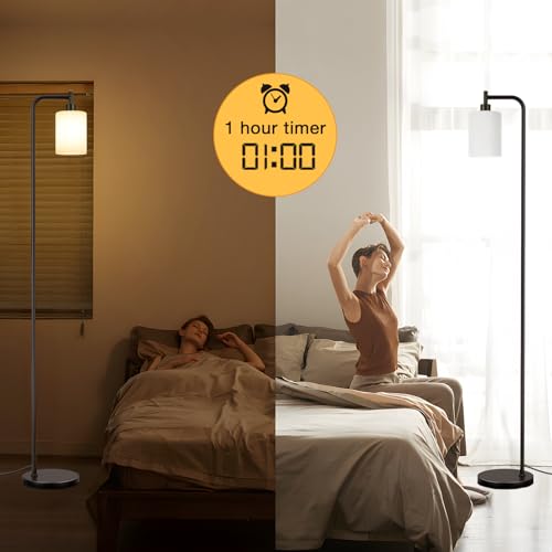 Floor Lamps for Living Room