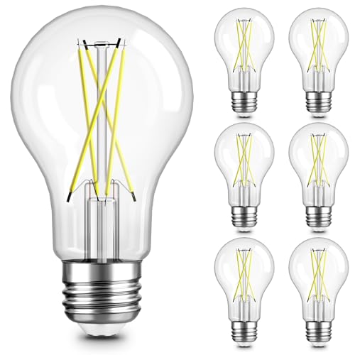 A19 LED Edison Light Bulb (6 Count)
