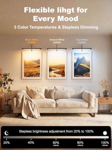 Plug in Picture Light for Wall (Black / 16 Inch)