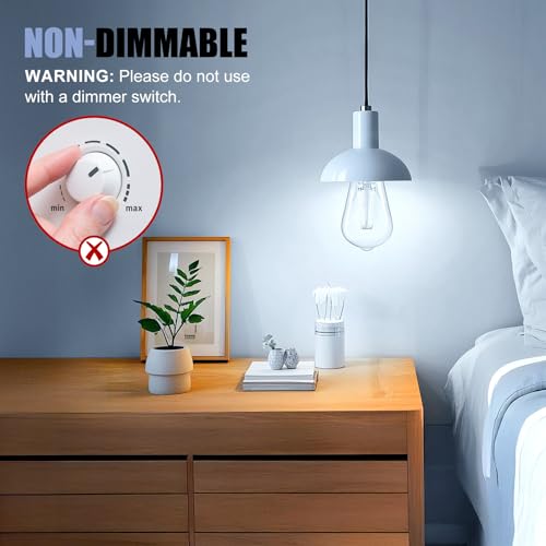 4Pack Edison Light Bulbs (4 Count)