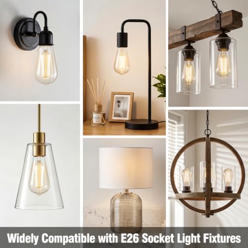 Vintage LED Edison Light Bulbs
