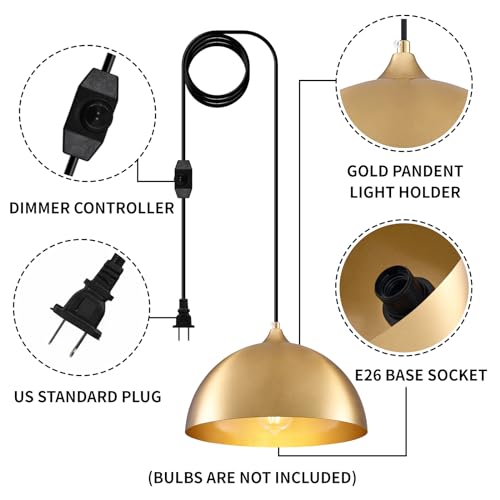 Plug in Hanging Light 2 Packs 11.8inch (2 Count)