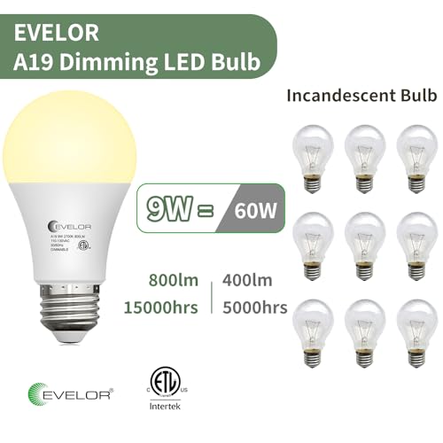 12 Packs A19 LED Light Bulbs (12 Count)