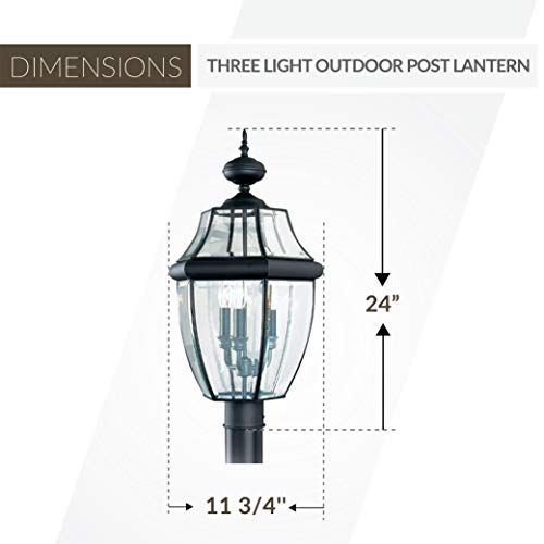 Sea Gull Lighting 8239