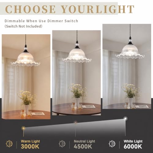 1 Pack Vintage Matte Black Crystal Transparent Glass Pendant Light Fixtures (Black / 1-Light)