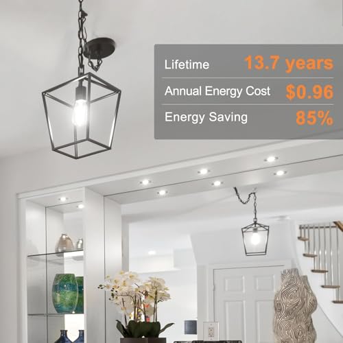 LED Edison Light Bulbs (20 Count)