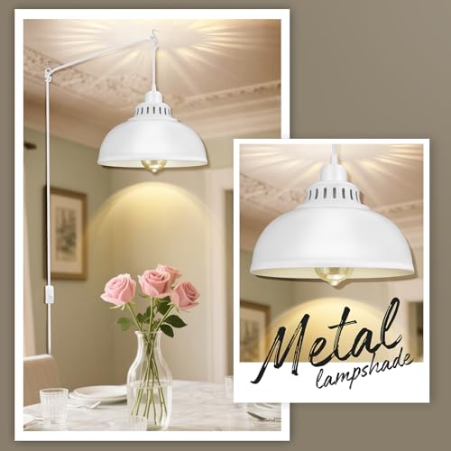 Plug in Pendant Light