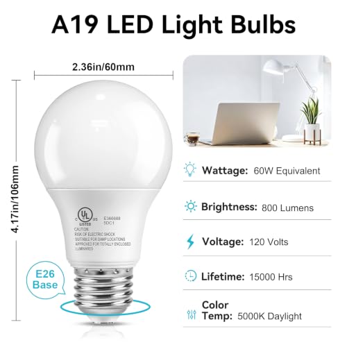 A19 LED Light Bulbs (12 Count)
