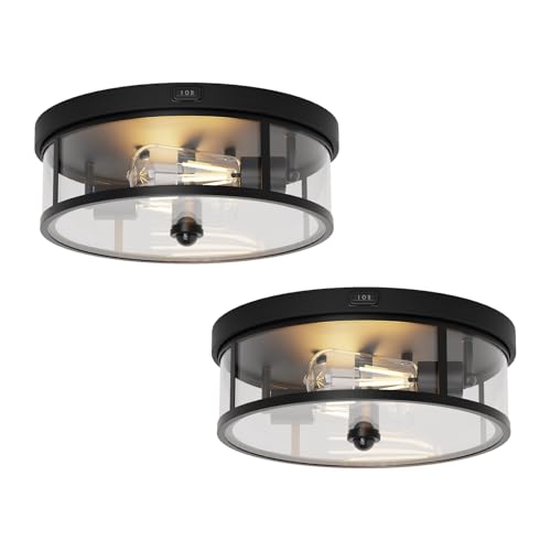 2Pack Outdoor Flush Mount Ceiling Light 12.5In (2 Count)