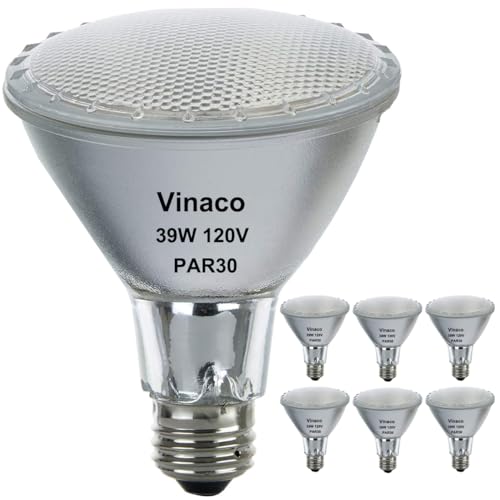 PAR30 Flood Light