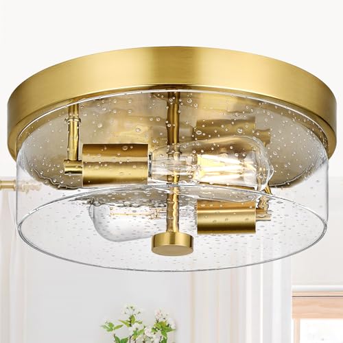 Flush Mount Ceiling Light Fixtures