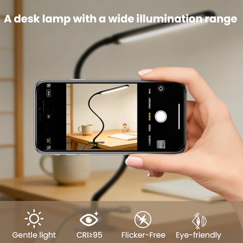 LED Desk Lamp with Clamp for Reading