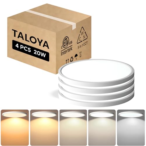 Ceiling Light (4 Count)
