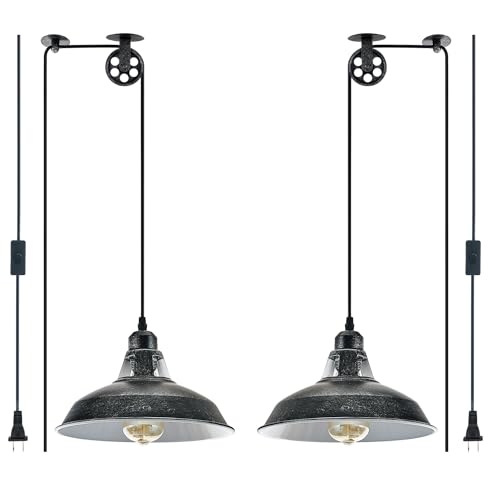 Plug in Pendant Light With Switch