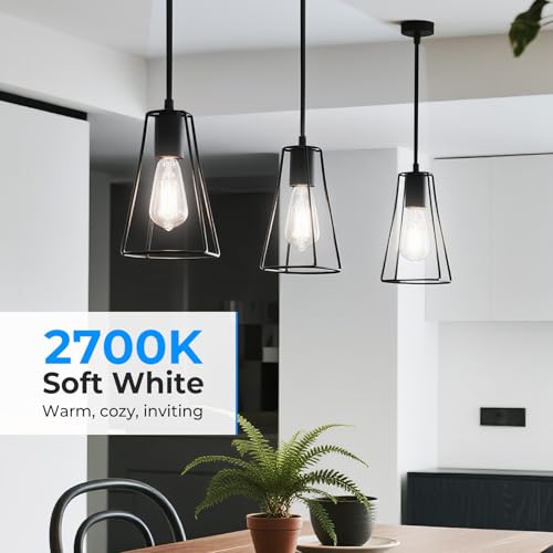 Dimmable Edison Bulbs 4000K Daylight White (18 Count)