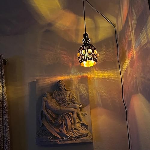Hanging Lamp Swag Lights Plug in Pendant Light