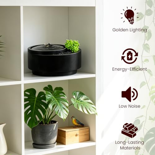 Table Fountain Indoor Water Zen Garden Decor with Succulent Plant