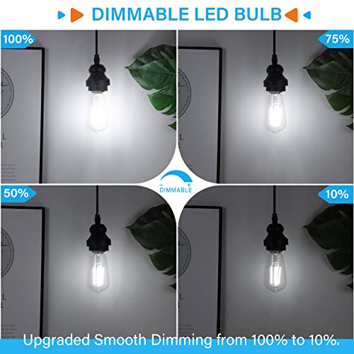 Vintage LED Edison Bulb Dimmable 60W Equivalent E26 Led Bulbs (10 Count)