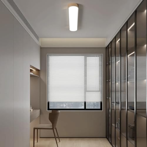 Modern LED Ceiling Light