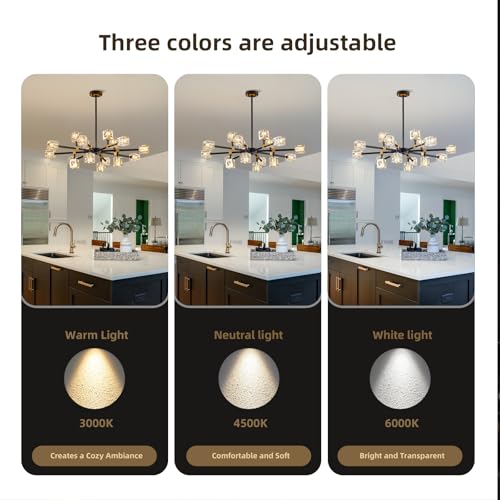 Modern Chandeliers for Dining Room