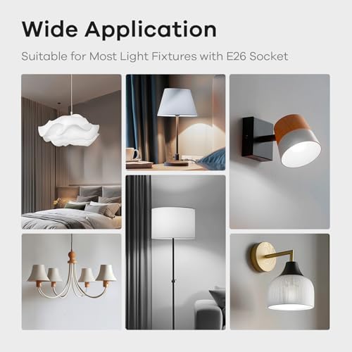 Dimmable A19 LED Light Bulbs (24 Count)
