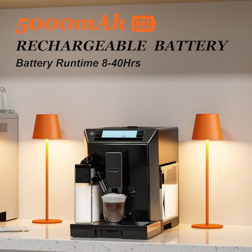 Cordless Table Lamp Rechargeable Orange (2 Count)
