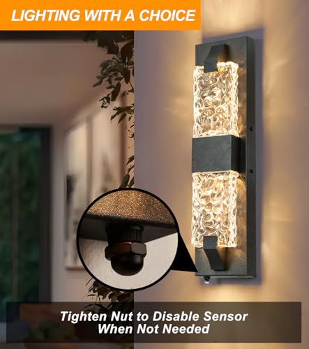 Outdoor Wall Light (2 Count)