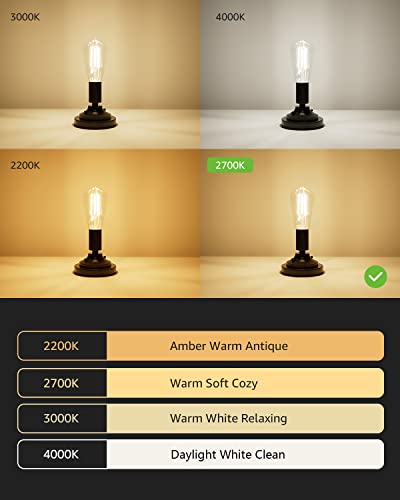 Dimmable E26 Edison LED Bulbs (6 Count)