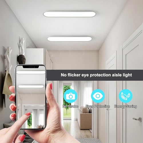 27.6 Inch Dimmable LED Linear Ceiling Light