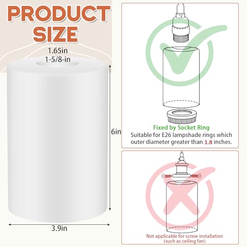 6 Pack Frosted White Glass Lamp Shade 1 (6 Count)