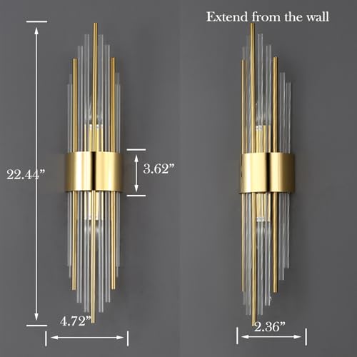 2 Light Modern Brushed Titanium Gold Wall Sconce with Clear Glass (2 Count)