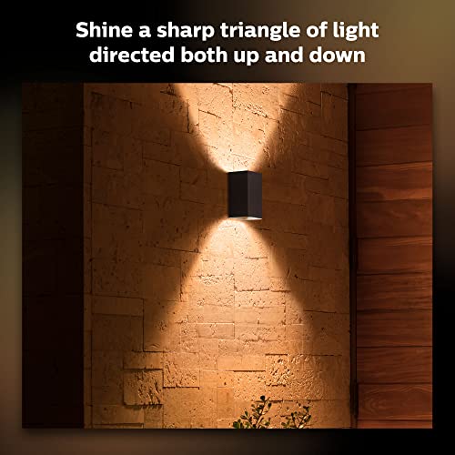 Resonate Outdoor Smart Wall Light