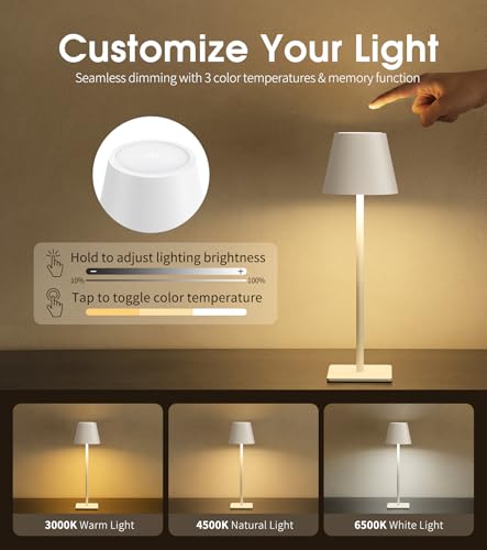 Cordless Table Lamp
