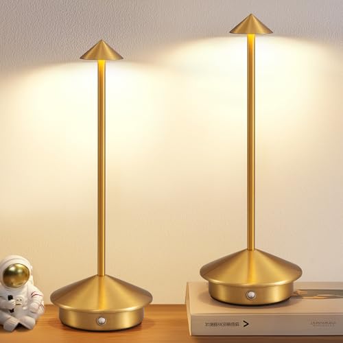 Modern Cordless Table Lamp Set of 2 (2 Count)