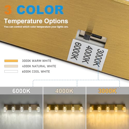 Vanity Light with 3 Color Modes