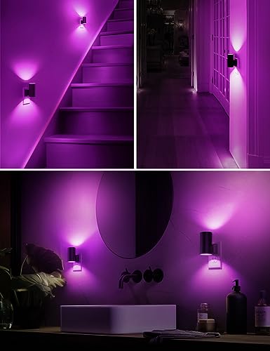 Purple Night Light (2 Count)