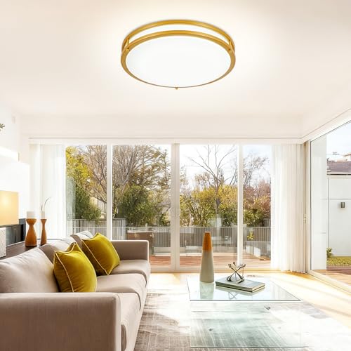 DLLT Flush Mount LED Ceiling Light