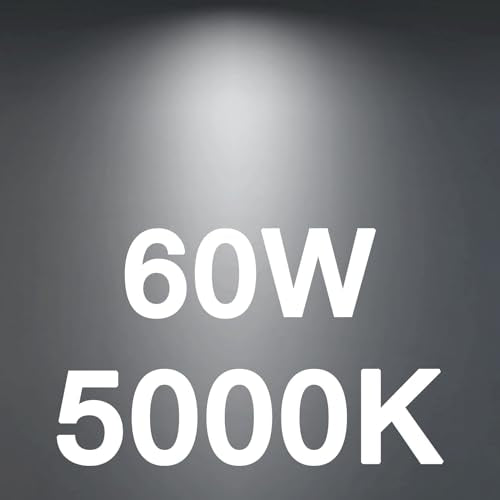 LED Chandelier Edison Bulbs 5000K Daylight (48 Count)