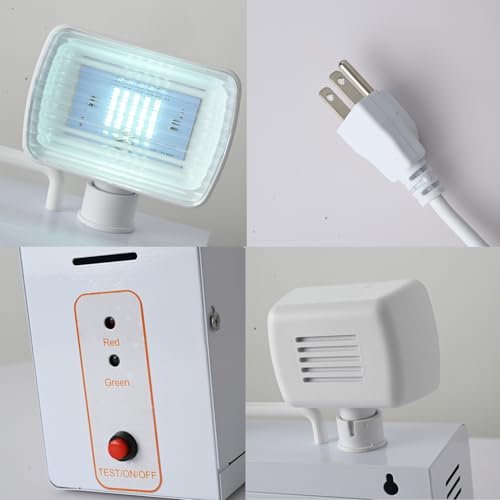 Emergency Light