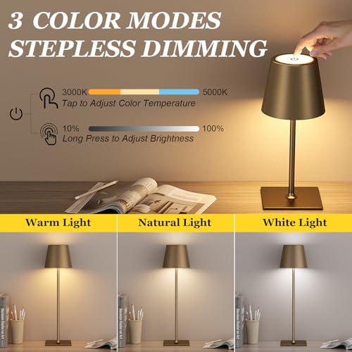 Brown Cordless Rechargeable Table Lamp 5000mAh Battery Operated Lamps (2 Count)
