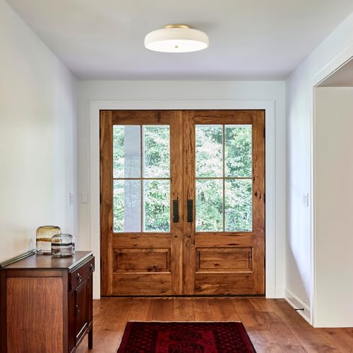 Dimmable LED Ceiling Light Fixture