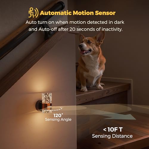 Motion Sensor Night Light (2 Count)