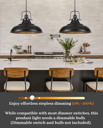 Black Pendant Light