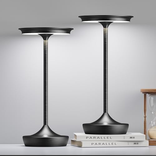 LED Rechargeable Cordless Outdoor 6000mAh Battery Table Lamp 2 (2 Count)