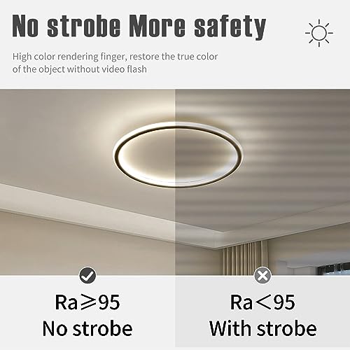 15.7 Inch Flush Mount Ceiling Light