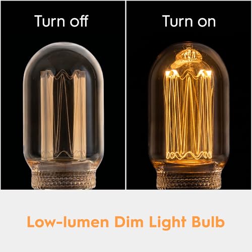 Decorative Light Bulb E26 Vintage Edison LED Dim Soft Warm Amber T45