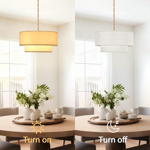Plug in Pendant Light