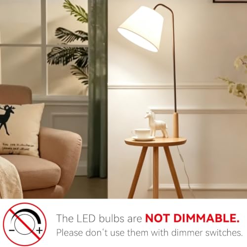 A19 LED Light Bulbs (24 Count)